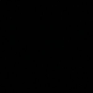 Meet your Posher, Teddy